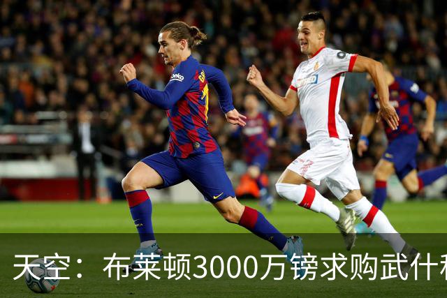 天空：布莱顿3000万镑求购武什科维奇，预计热刺对其估值超6000万